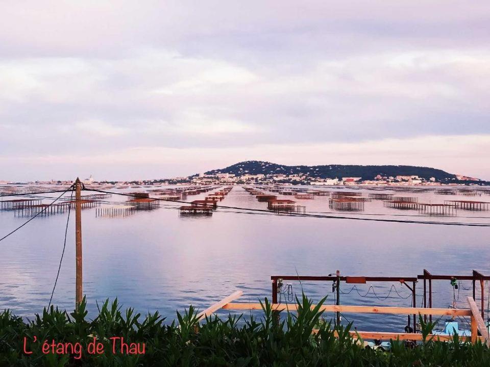Amarine Joli T3 Centre Ville Terrasse Parking Et Velos Sete Luaran gambar